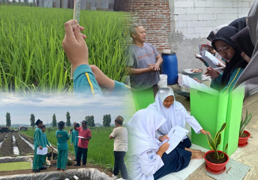 observasi-lanjutan-eco-smart-farming-cara-smp-persada-bentuk-santri-tangguh-dan-peduli-lingkungan