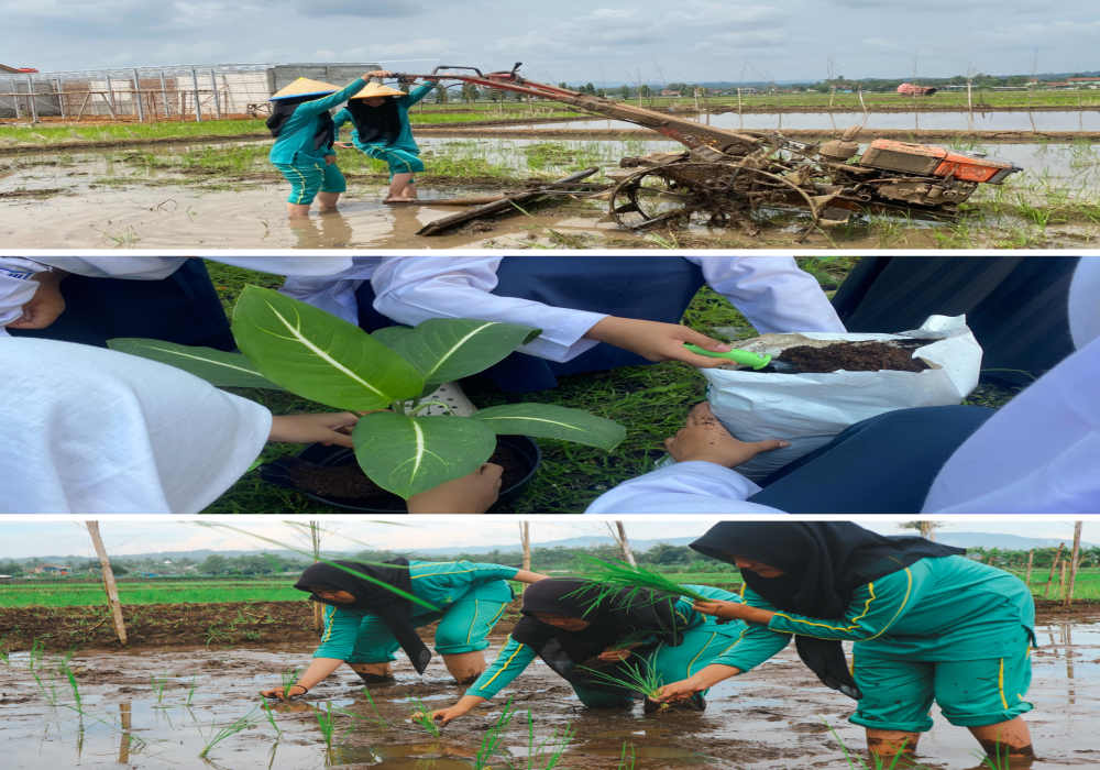 aksi-santripreneur-smp-perantara-mengusung-tema-eco-smart-farming