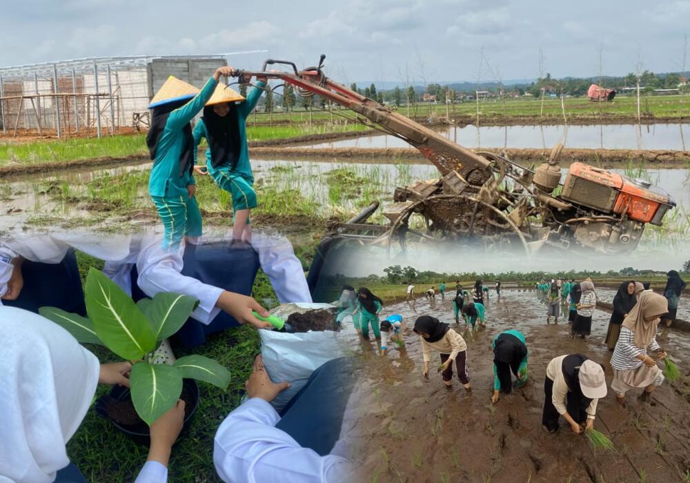 aksi-santripreneur-smp-perantara-mengusung-tema-eco-smart-farming