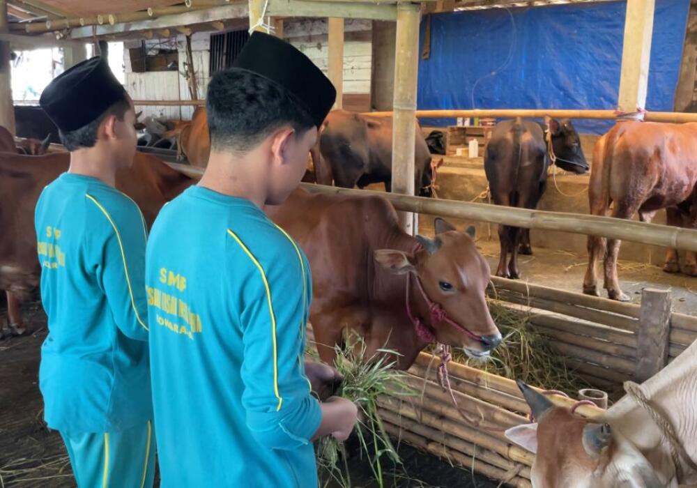 Semangat Kebangkitan Nasional, Santripreneur Club Belajar Perawatan dan Pemasaran Hewan Kurban