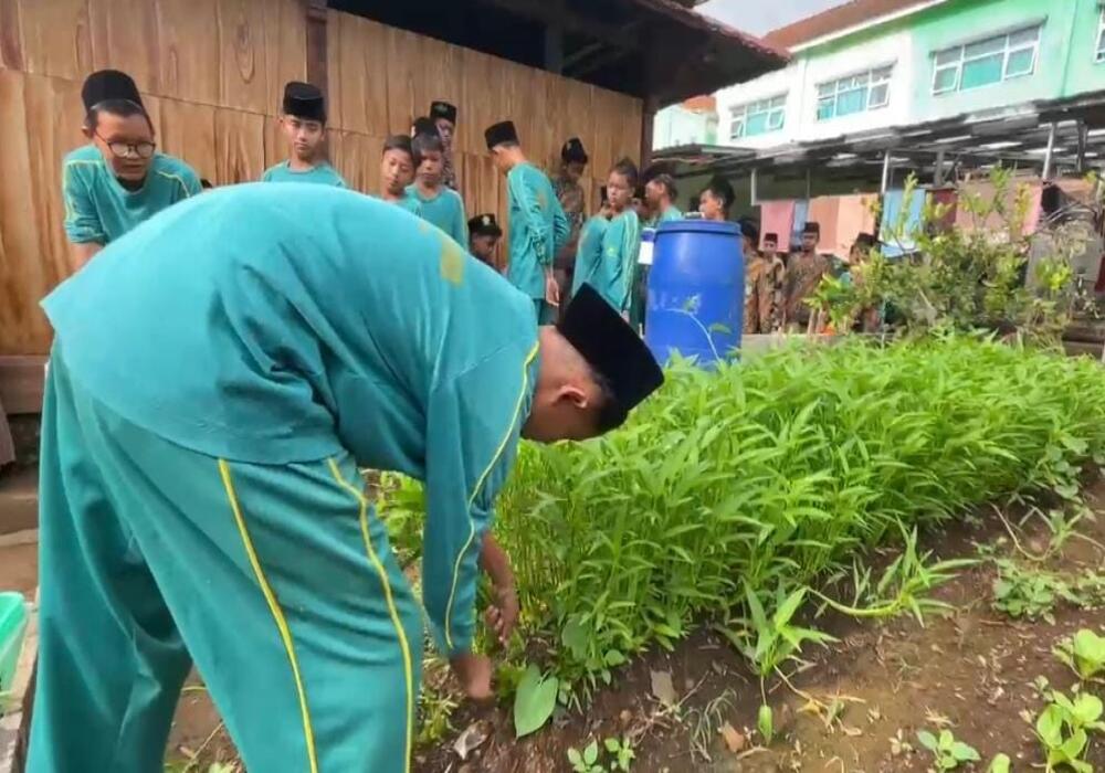panen-perdana-kangkung-organik-dari-tambun-siswa-smp-perantara-buktikan-jadi-santripreneur
